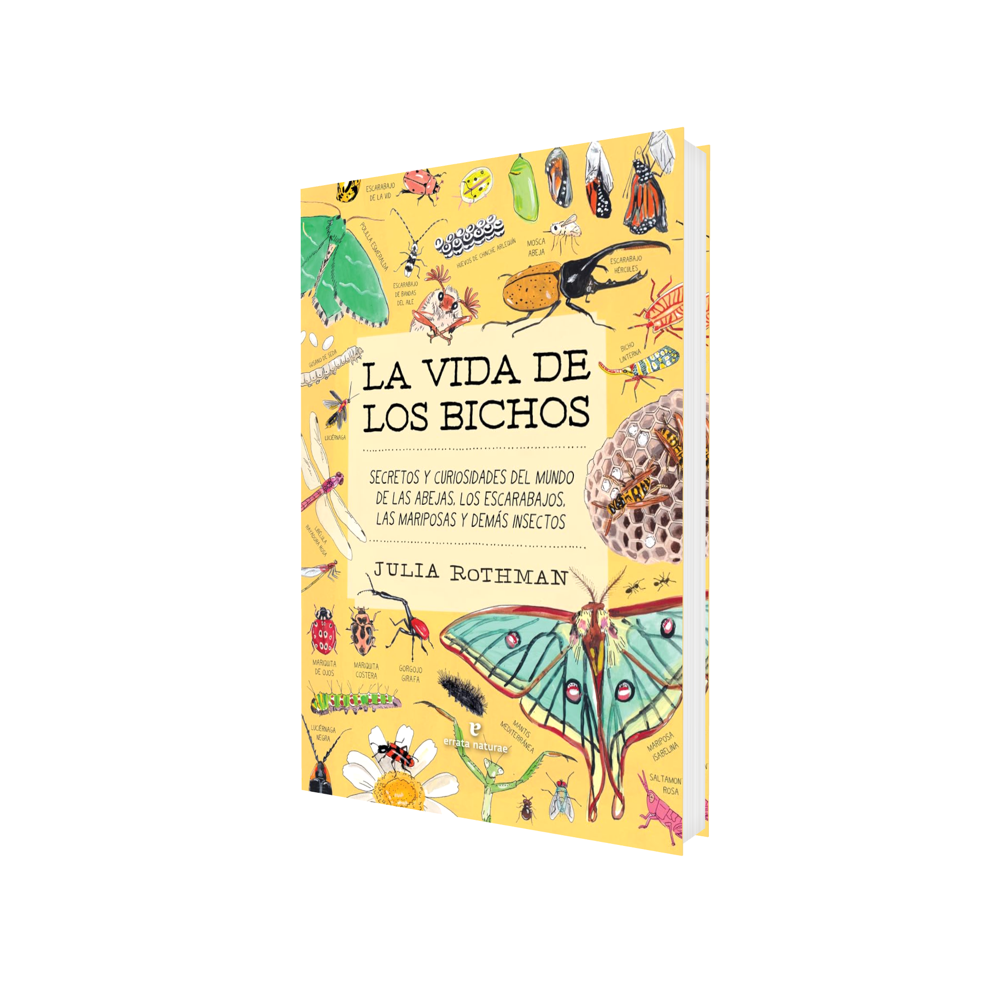Portada de Libro La Vida De Los Bichos Secretos Y Curiosidades Julia Rothman [ En Español ] Original