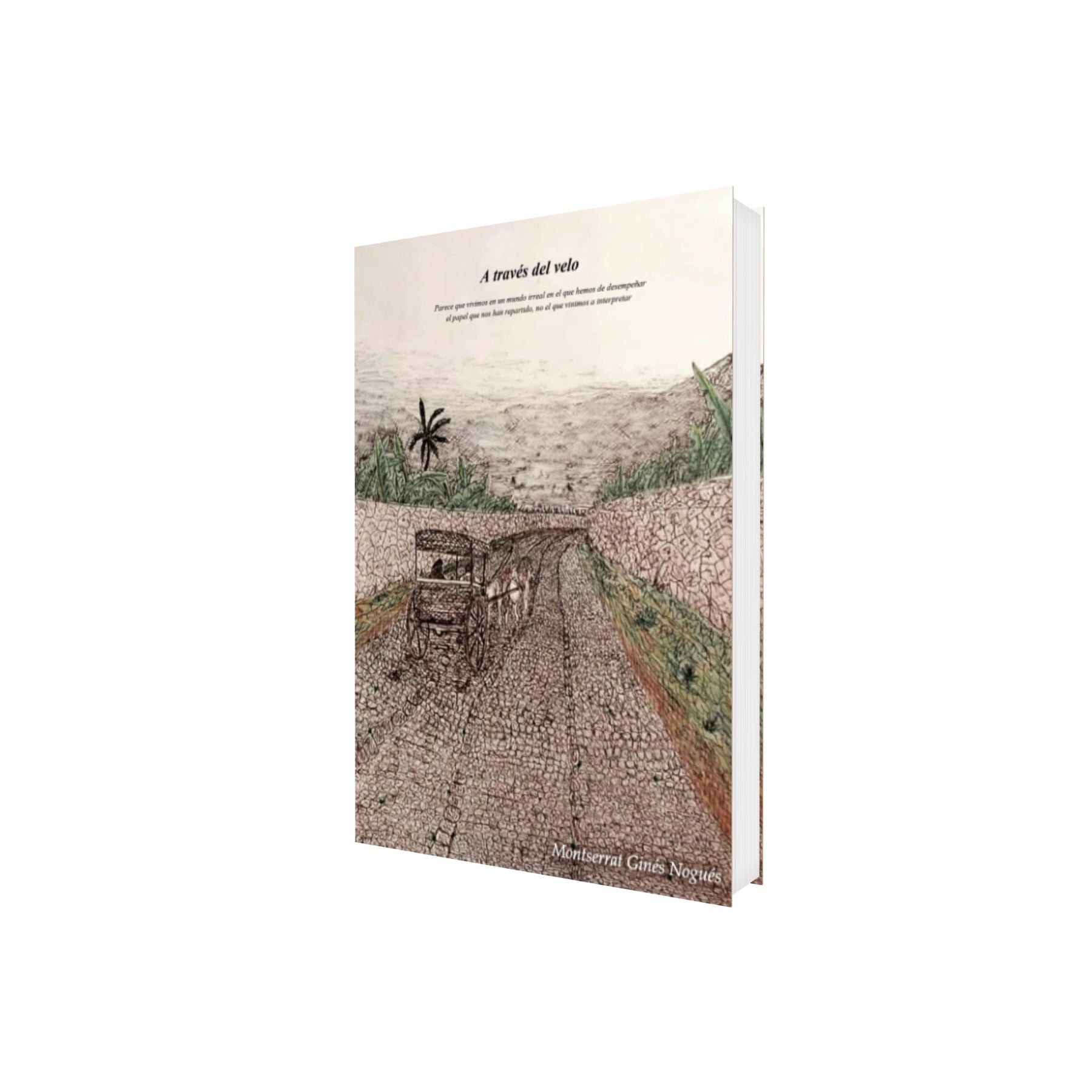 Portada de Libro A Través Del Velo Montserrat Ginés Nogués [ En Español ] Original